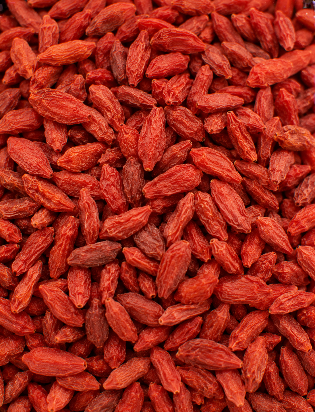Czerwone suszone jagody goji