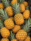 Ananas