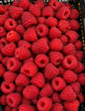 Maliny