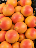 Grejpfrut